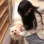 英雄垒复仇破解版下载
